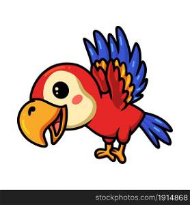 Cute red little parrot cartoon