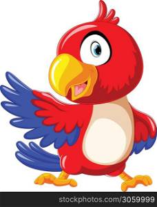 cute red parrot cartoon with presentation