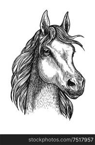 Cute scottish pony close up portrait of sketched small horse head with silky and soft hair. Great for horse breeding symbol or riding club badge design. Scottish pony sketch for horse breeding design