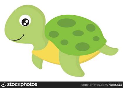 Cute sea turtle, illustration, vector on white background.