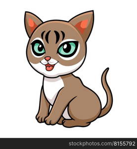 Cute singapura cat cartoon sitting