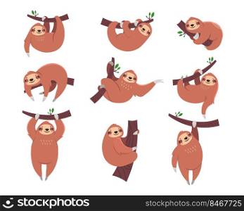 Cute sloth cartoon character flat vector illustrations set. Collection of drawings with sleepy animal hanging from branch for children isolated on white background. Zoo, nature, wildlife concept