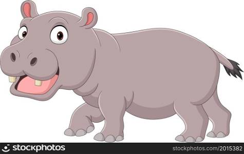 Cute smiling hippo on white background