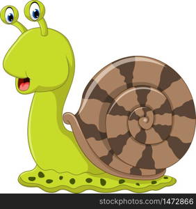 Cute snail cartoon