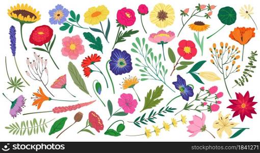 Cute spring flowers and leaves, botanical floral elements. Flat cartoon blossom flower, wildflower and garden blooming plants vector set. Beautiful colorful peony, sunflower and poppy. Cute spring flowers and leaves, botanical floral elements. Flat cartoon blossom flower, wildflower and garden blooming plants vector set