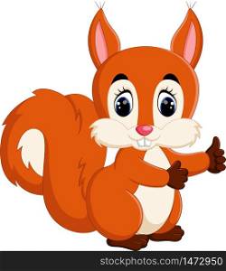 Cute squirrel cartoon