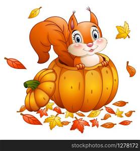 Cute squirrel in a pumpkin