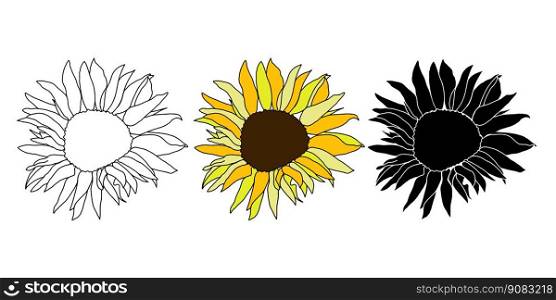 Cute sunflower decor for surfase decoration. Hand drawn floral vector elements. Sunflower head flower hand drawn