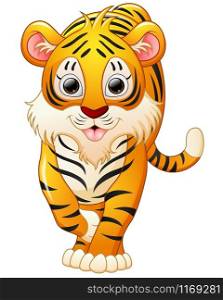 Cute tiger cartoon isolated on white background