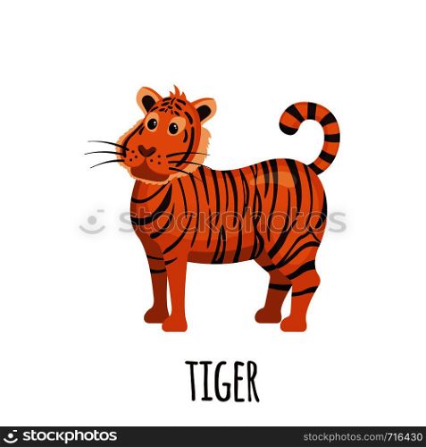 Cute Tiger in flat style isolated on white background. Cartoon tiger. Zoo animal. Vector illustration.. Cute Tiger in flat style