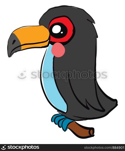 Cute toucan bird, illustration, vector on white background.