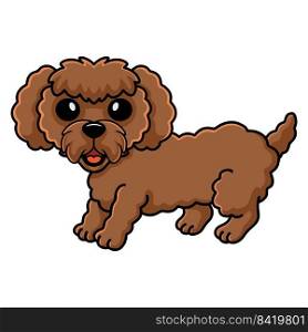 Cute toy poodle dog cartoon