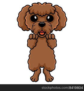 Cute toy poodle dog cartoon standing