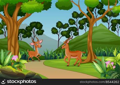 Cute two gazelle playing in the jungle	
