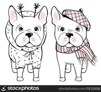 Cute vector dog in winter clothes. Fashion French bulldog puppy. Stylish animals. Clothing for pets. Cartoon illustration in sketch style. Print design.. Cute vector dog in winter clothes. Fashion French bulldog puppy.