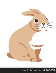 cute wild hare personage portrait, isolated rabbit with long ears and soft fluffy fur. Woodland animals and pets, zoology and agriculture. Easter bunny with whiskers on muzzle. Vector in flat style. Rabbit portrait, cute wild hare personage vector