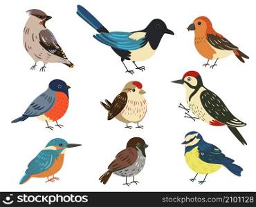Cute winter birds. Little forest and city flying animals. Magpie and bullfinch. Tit and sparrow. Different types of colorful feathered characters. Isolated woodpecker or kingfisher. Vector fauna set. Cute winter birds. Forest and city flying animals. Magpie and bullfinch. Tit and sparrow. Different types of colorful feathered characters. Woodpecker or kingfisher. Vector fauna set