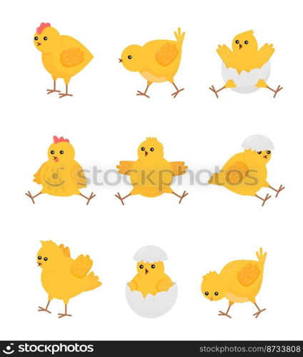 Cute yellow chicks. Cartoon chick bird, isolated baby chicken. Little farm animal in break egg, easter symbol. Flat rustic decent vector characters of bird chick, animal yellow cute baby illustration. Cute yellow chicks. Cartoon chick bird, isolated baby chicken. Little farm animal in break egg, easter symbol. Flat rustic decent vector characters