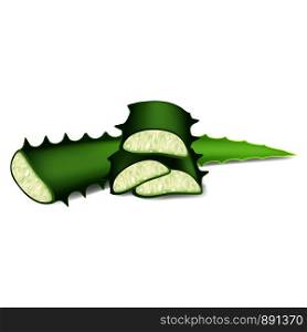 Cutted aloe leaf icon. Cartoon of cutted aloe leaf vector icon for web design isolated on white background. Cutted aloe leaf icon, cartoon style