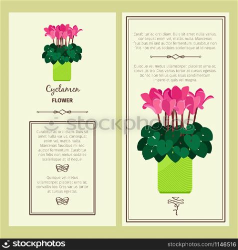 Cyclamen flower in pot vector advertising banners for shop design. Cyclamen flower in pot banners