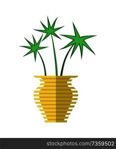 Cyperus papyrus yellow vase, room plant with leaves as palm tree, decorative botanical element in pot vector illustration isolated on white background. Cyperus Papyrus in Yellow Vase Vector Illustration