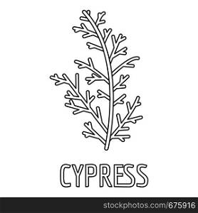 Cypress leaf icon. Outline illustration of cypress leaf vector icon for web. Cypress leaf icon, outline style.