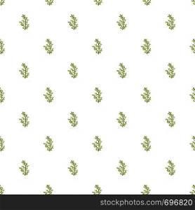 Cypress leaf pattern seamless in flat style for any design. Cypress leaf pattern seamless