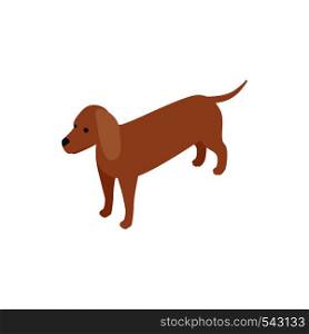 Dachshund dog icon in isometric 3d style isolated on white background. Animals symbol . Dachshund dog icon, isometric 3d style
