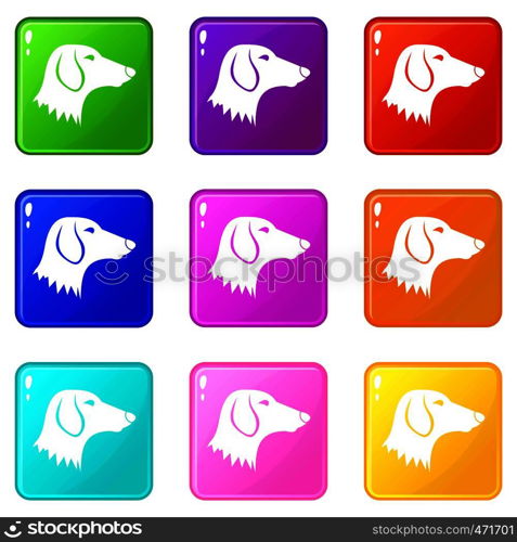 Dachshund dog icons of 9 color set isolated vector illustration. Dachshund dog icons 9 set