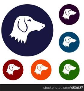 Dachshund dog icons set in flat circle reb, blue and green color for web. Dachshund dog icons set