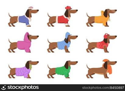 Dachshund. Funny happy dog in winter clothes cute decorative xmas long knitted sweater exact vector templates domestic animals dachshund. Illustration of dogs with scarf, hat. Dachshund. Funny happy dog in winter clothes cute decorative xmas long knitted sweater exact vector templates domestic animals dachshund