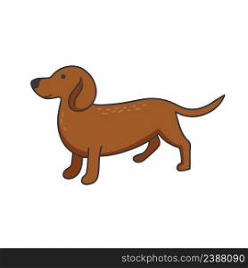 Dachshund isolated doodle style. Elongated dog with brown hair on walk. Home pet icon. Animal domestic pet hand drawn vector illustration. Dachshund isolated doodle style
