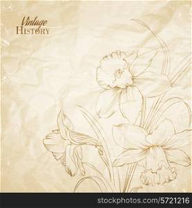 Daffodil flower drawn on the old paper. Vector illustration.
