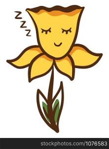 Daffodil sleeping, illustration, vector on white background.