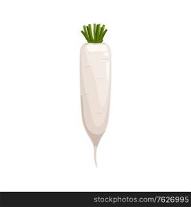 Daikon radish with green stem isolated vegetable root. Vector horseradish rhizome plant, organic spice condiment, realistic 3d horse-radish. White radish, fresh veggie with green stem, organic food. White radish isolated daikon vegetable root 3D