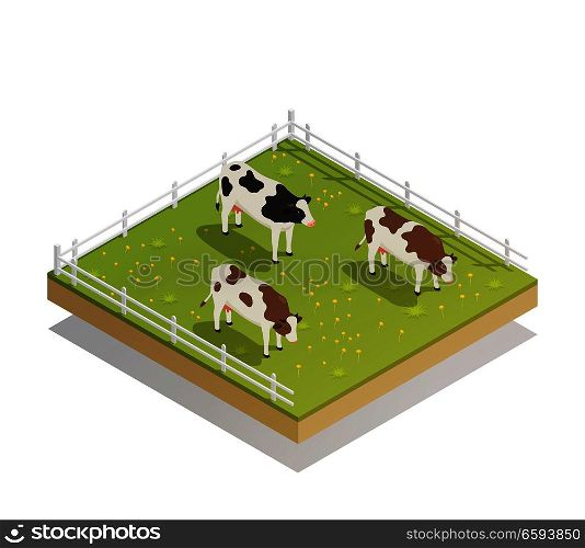 Dairy production milk factory isometric composition with images of cows depasture on grass in farm yard vector illustration. Dairy Pasture Isometric Composition
