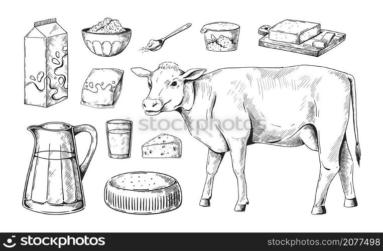 Dairy products. Hand drawn milk in bottle and cow. Farm fresh yogurt in jug and jars. Organic butter and kefir glass. Cottage cheese and sour cream isolated sketches. Vector natural food drawings set. Dairy products. Hand drawn milk in bottle and cow. Farm yogurt in jug and jars. Organic butter and kefir glass. Cottage cheese and sour cream sketches. Vector natural food drawings set