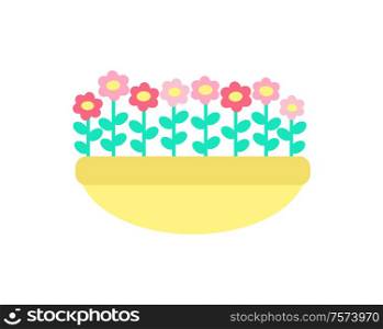 Daisies grow in clay pot vector isolated. Spring pink and red color flowers with green stems and leaves, growing in ground or sand, springtime elements. Daisies Grown in Clay Pot Vector Spring Flowers