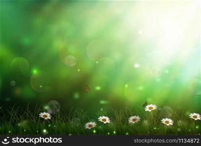 Daisies in a meadow, close-up