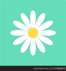 Daisy chamomile vector icon isolated. Daisy chamomile vector icon