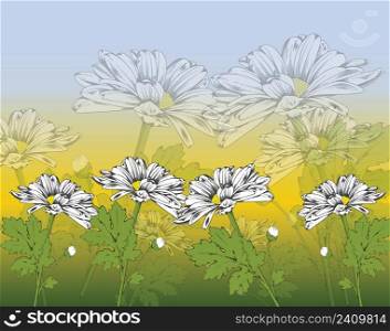 Daisy floral painting handdrawn classical blurred design