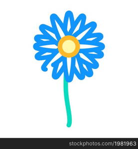 daisy flower color icon vector. daisy flower sign. isolated symbol illustration. daisy flower color icon vector illustration