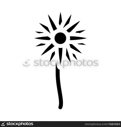 daisy flower glyph icon vector. daisy flower sign. isolated contour symbol black illustration. daisy flower glyph icon vector illustration