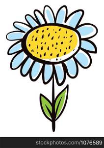 Daisy flower, illustration, vector on white background.