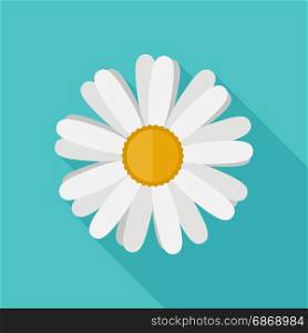 Daisy flower in flat style. Vector simple illustration of chamomile with long shadow.