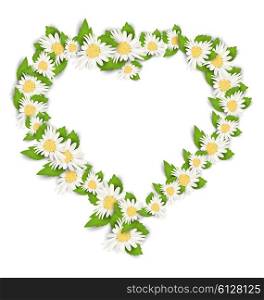 Daisy Flowers in Form Heart Isolated on White Background. Illustration Daisy Flowers in Form Heart Isolated on White Background. Spring Nature Card - Vector
