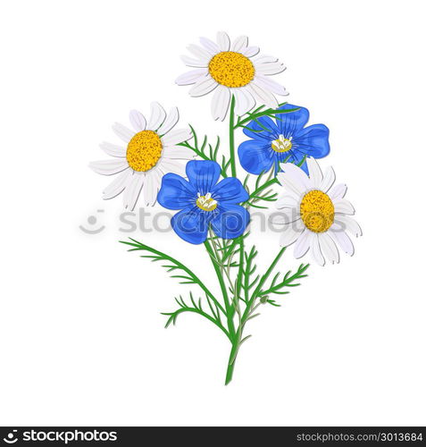 Daisy or chamomile Wildflower isolated with stem. Flax, forget-me-not blue bouquet flowers. Daisy or chamomile Wildflower isolated with stem. Flax, forget-me-not blue bouquet flowers with stem. nosegay. Vector illustration. Design, health care, cosmetics, postcard, greeting cards, decoration