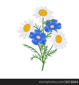 Daisy or chamomile Wildflower isolated with stem. Flax, forget-me-not blue bouquet flowers. Daisy or chamomile Wildflower isolated with stem. Flax, forget-me-not blue bouquet flowers with stem. nosegay. Vector illustration. Design, health care, cosmetics, postcard, greeting cards, decoration