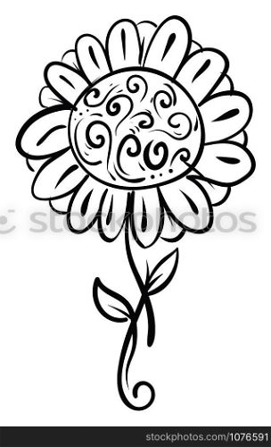 Daisy sketch, illustration, vector on white background.