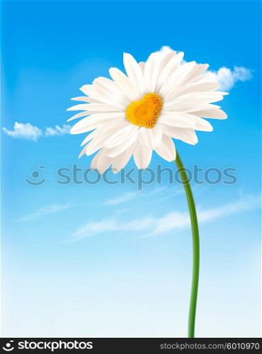 Daisy with heart shaped middle. Valentine&rsquo;s Day background. Vector.